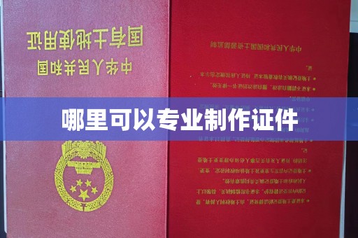 东风哪里可以专业制作证件