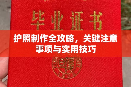 东风护照制作全攻略，关键注意事项与实用技巧