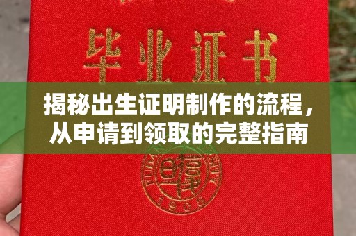 东风揭秘出生证明制作的流程，从申请到领取的完整指南