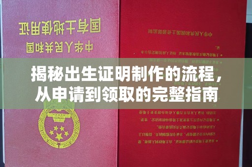 东风揭秘出生证明制作的流程，从申请到领取的完整指南