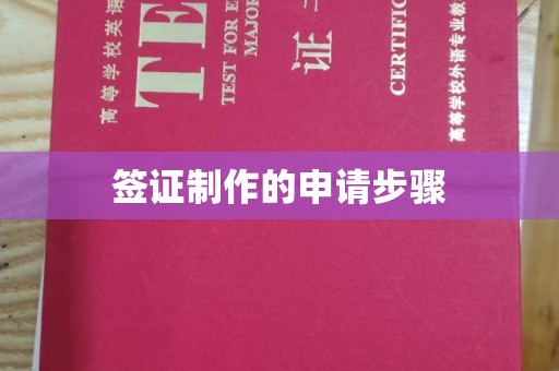 东风签证制作的申请步骤