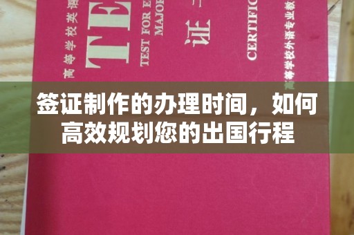 东风签证制作的办理时间，如何高效规划您的出国行程