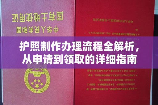 东风护照制作办理流程全解析，从申请到领取的详细指南