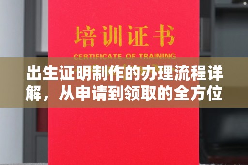 东风出生证明制作的办理流程详解，从申请到领取的全方位指南